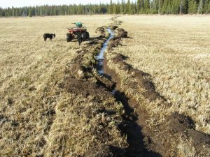 Guichon Creek Ranch