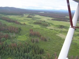 Guichon Creek Ranch