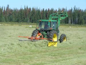 Guichon Creek Ranch