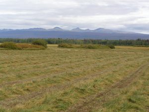 Guichon Creek Ranch