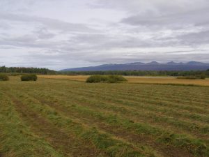 Guichon Creek Ranch