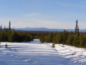 Guichon Creek Ranch