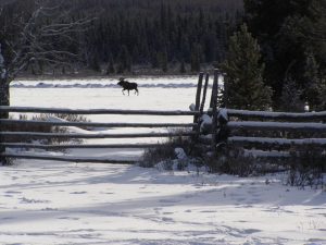 Guichon Creek Ranch