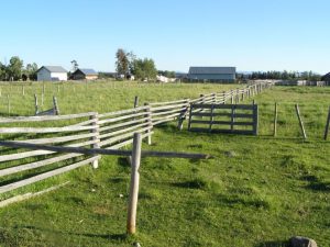 Guichon Creek Ranch