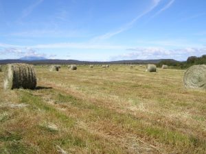 Guichon Creek Ranch