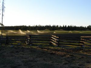 Guichon Creek Ranch