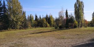 kole Creek Bison Ranch