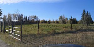 kole Creek Bison Ranch