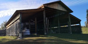 kole Creek Bison Ranch