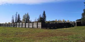 kole Creek Bison Ranch