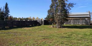 kole Creek Bison Ranch