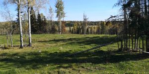 kole Creek Bison Ranch