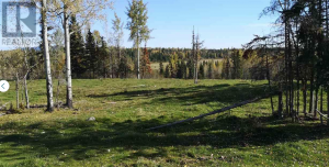 Kole Bison Ranch Hixon, BC