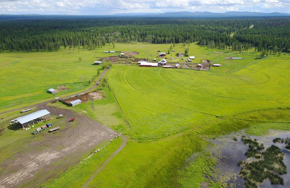 3625 Dog Creek Road, Williams Lake, BC > 944 Deeded Acres | 2000sq.ft 3 Bedroom Home | Insulated Concrete Floor Calving Barn | 570 Acres Grazing Lease | 325 Acres Irrigated Hay Fields | 4 Drilled Production Wells | Water licenses