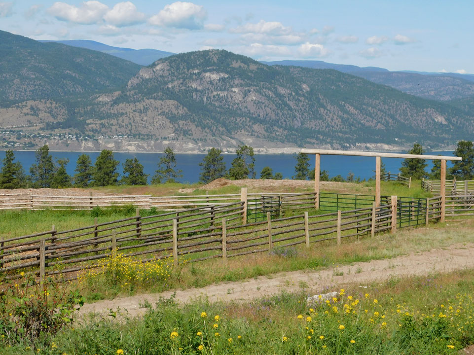 1313 Greyback Mountain Road > Penticton, BC | 80.83 Acres | Runs 200 Cow/Calf Pairs | Fenced & Fenced | Crown Grazing Lease | 100×80 Riding Arena 1313 Greyback Mountain Road > Penticton, BC | 80.83 Acres | Runs 200 Cow/Calf Pairs | Fenced & Fenced | Crown Grazing Lease | 100×80 Riding Arena