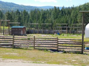 1313 Greyback Mountain