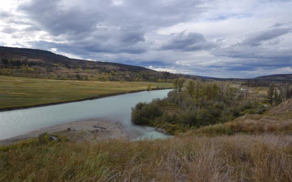 250 Riverfront Acres Ranches Only Rural Real Estate