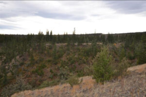 Chilco Ranch Road