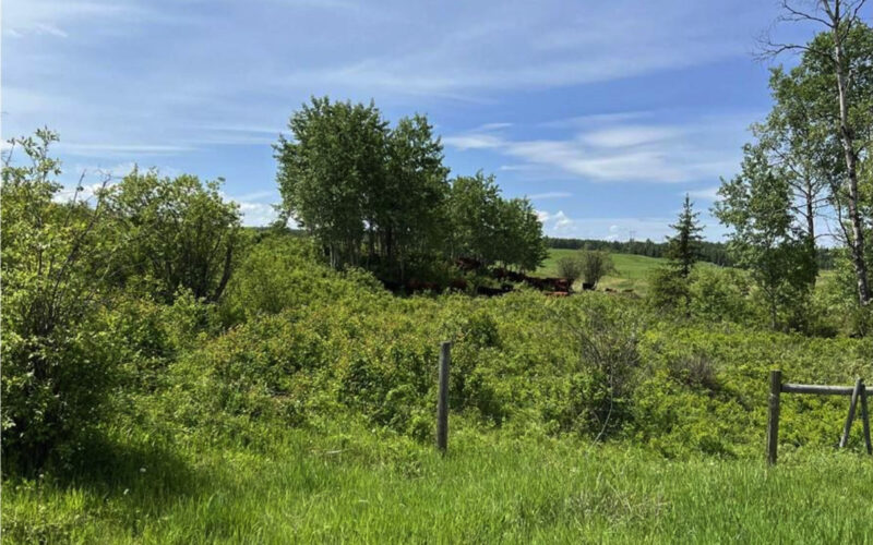 11170 Plett Road Hixon BC