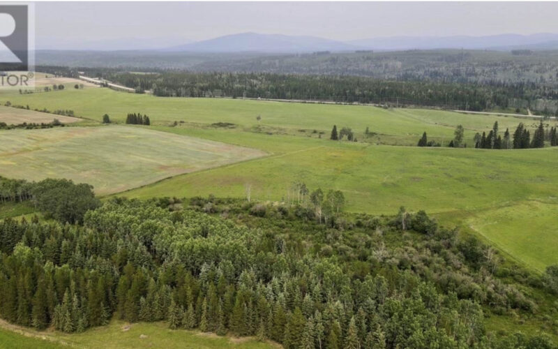 11170 Plett Road Hixon BC