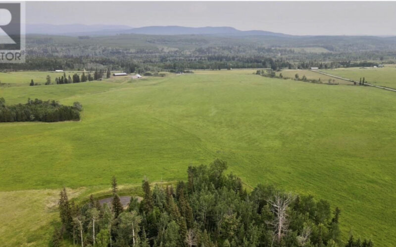 11170 Plett Road Hixon BC